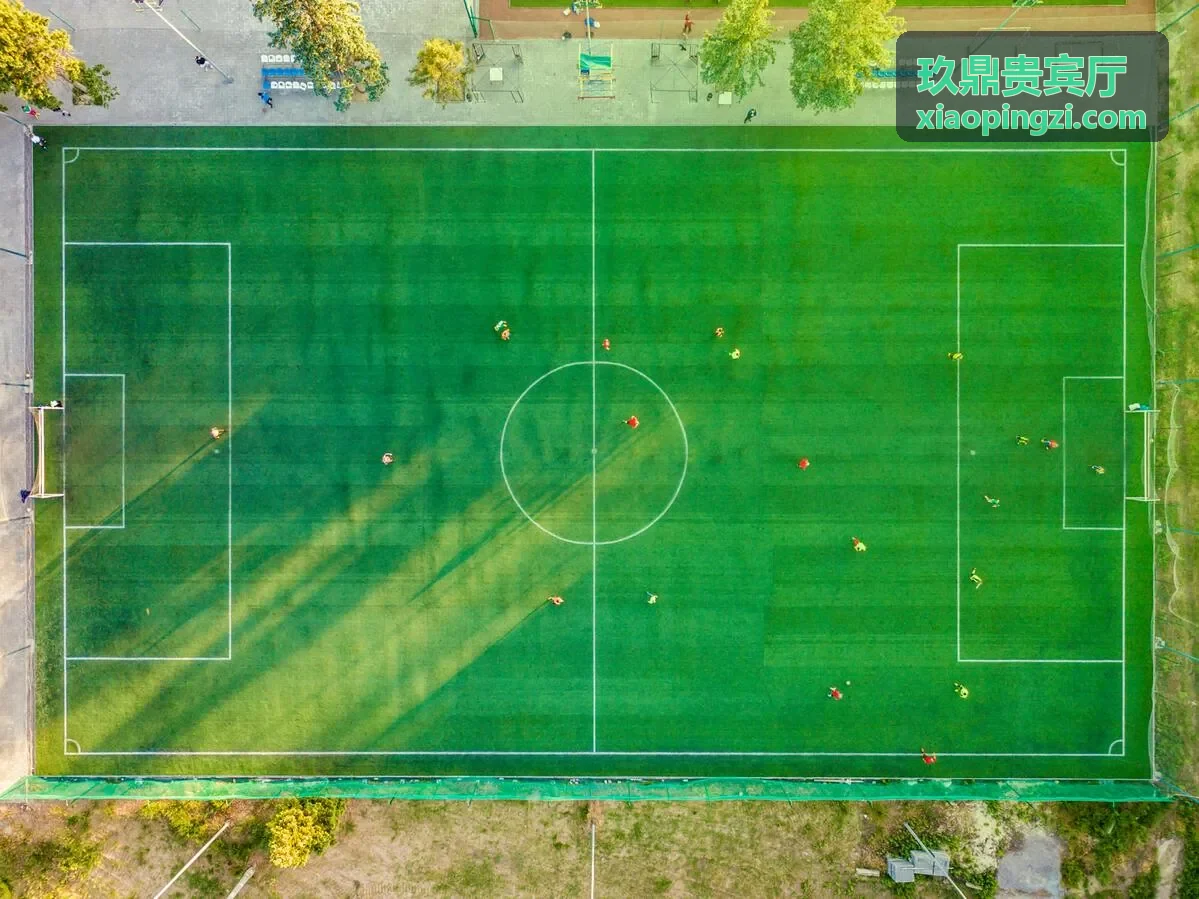 玖鼎贵宾厅企业接待案例